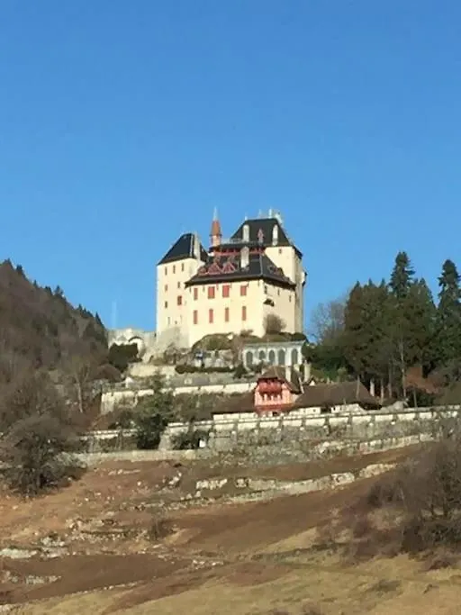 Maison De Vacances 220M2 Vue Lac Et Chateau Menthon-Saint-Bernard